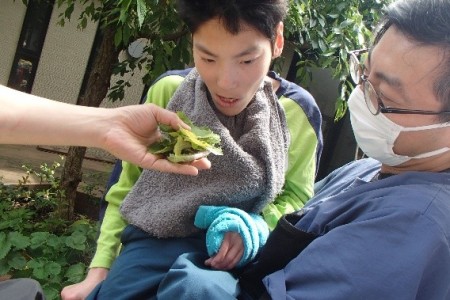 画像7